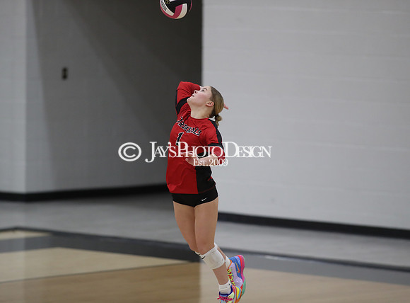 Wynne @ Harmony Grove 10-8-24_JWM_0453