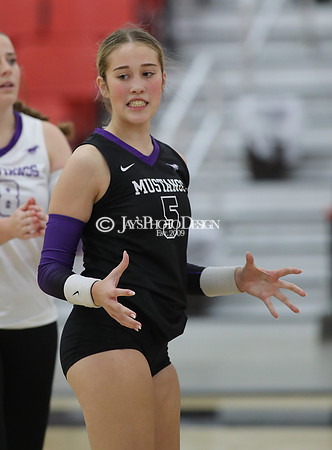 Harding Academy vs. Central Arkansas Christian (3A Volleyball South Regional Final) 10-24-24_JWM_0461