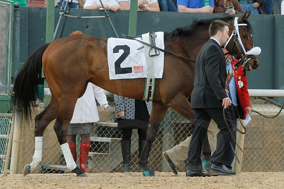 Honeybee Stakes (Grade III) 3-8-2014 (© Justin Manning) JWM_0082