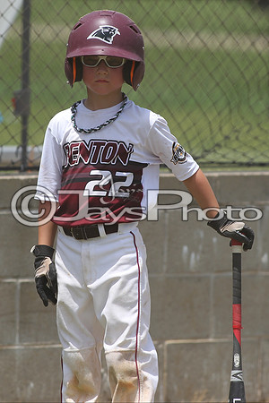 Benton vs. Harrison Cal Ripken t-ball All-Stars 7-10-2015 (©Justin Manning) JWM_0152