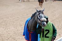 Oaklawn Park 3-3-13 JWM0018 (© Angela Greb)
