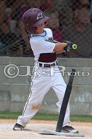 Benton vs. Picayune MS Cal Ripken t-ball All-Stars 7-12-2015 (©Justin Manning) JWM_0025