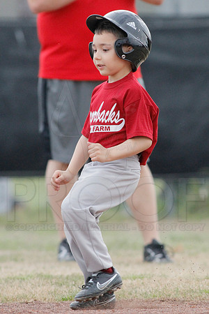 Phillies vs. Razorbacks 5-6 year old baseball 4-3-2014 (© Justin Manning) JWM_0066