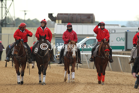 z190125_SmartyJonesStakesDay_Manning_0142