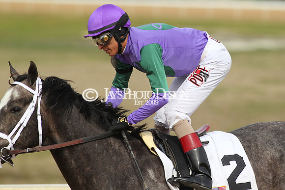 z190218_SouthwestStakesDay_Manning_051