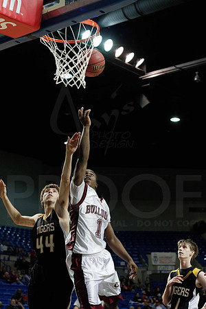 _MG_0084-4