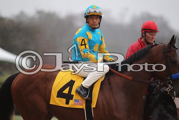 Oaklawn (Rebel Stakes Day) 3-14-2015 (©Justin Manning) JWM_249