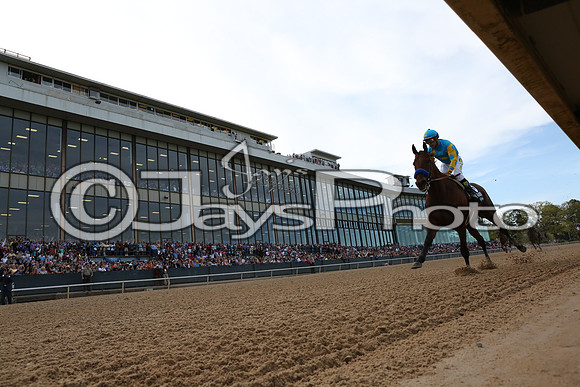 Arkansas Derby Day 4-11-2015 (©Justin Manning) JWM_2198