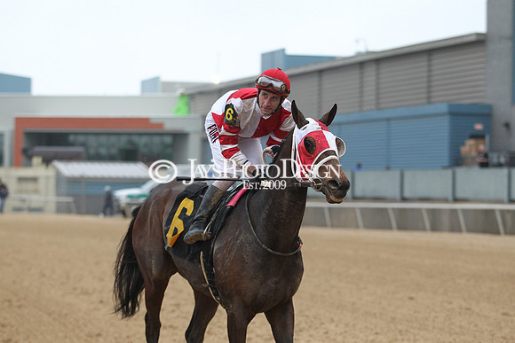 z200217_SouthwestStakesDay_Manning_0547