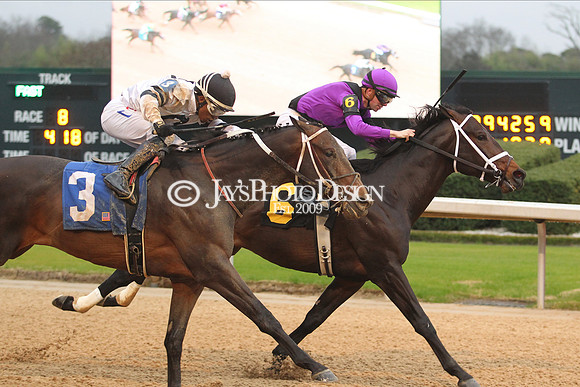 z200217_SouthwestStakesDay_Manning_3535