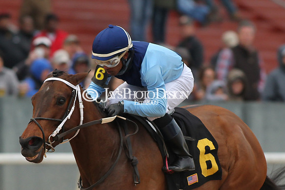z190218_SouthwestStakesDay_Manning_398