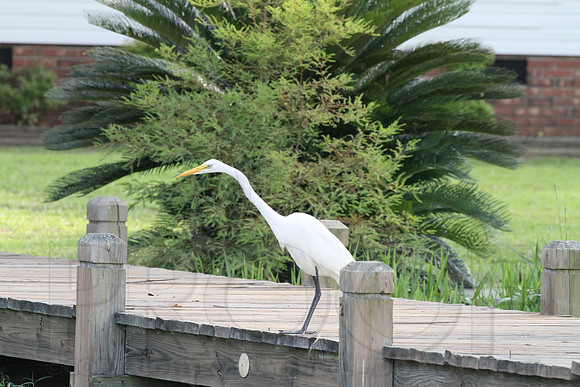 Vacation (Santee) 6-22-13 thru 6-28-13 0089