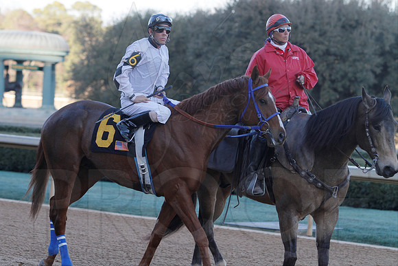 Smarty Jones Stakes 01-20-14 (©Justin Manning) JWM_0354
