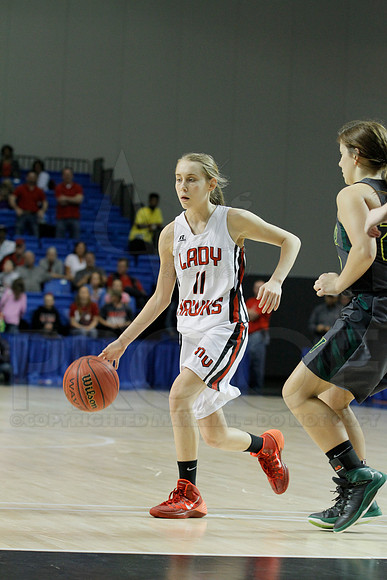 1A Girls State Finals-Nemo Vista vs. Wonderview 3-14-2014 (© Justin Manning) JWM_0168