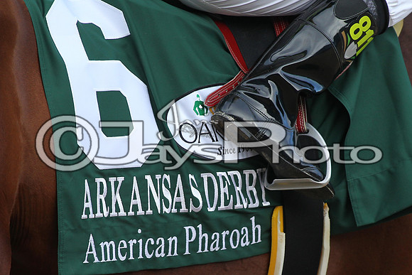 Arkansas Derby Day 4-11-2015 (©Justin Manning) JWM_2499
