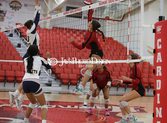 Wynne @ Harmony Grove 10-8-24_JWM_0219