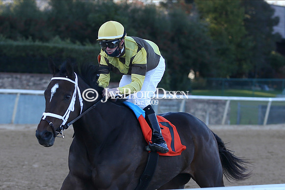 z210122_SmartyJonesStakesDay_Manning_0505