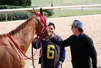 Oaklawn Park 3-3-13 JWM0012 (© Angela Greb)