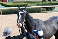 Oaklawn Park 3-3-13 JWM0017 (© Angela Greb)