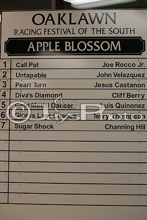 Apple Blossom (Grade I) 4-10-2015 (©Justin Manning) JWM_0001