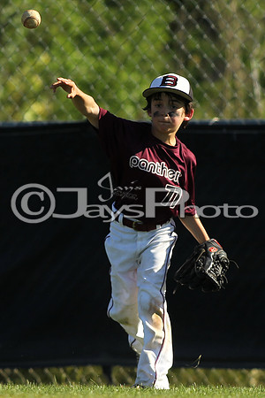 Benton Panthers vs. Conway Cats_0264