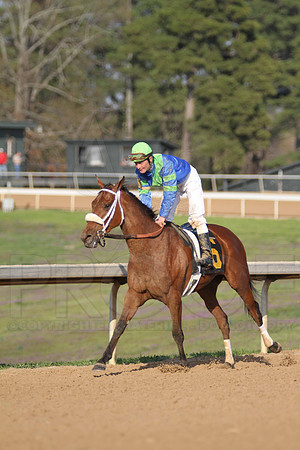 IMG_0093