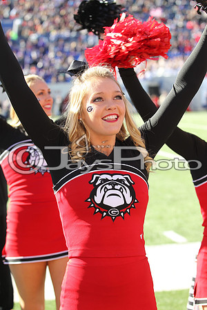 Autozone Liberty Bowl Georgia Bulldogs vs TCU Horned Frogs_JWM_01224