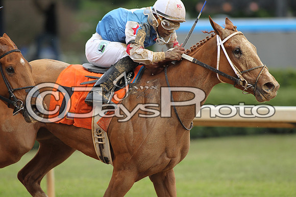 Oaklawn_0274
