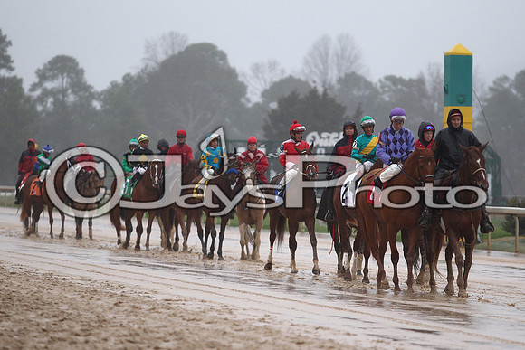 Oaklawn (Rebel Stakes Day) 3-14-2015 (©Justin Manning) JWM_221