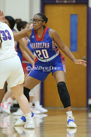 Arkadelphia @ Fountain Lake 1-19-21_JWM0390