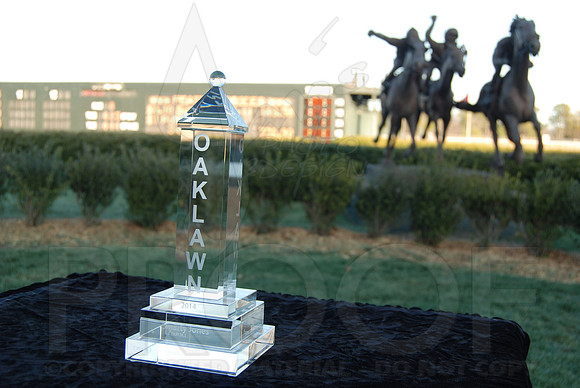 Smarty Jones Stakes 01-20-14 (©Justin Manning) JWM_0517