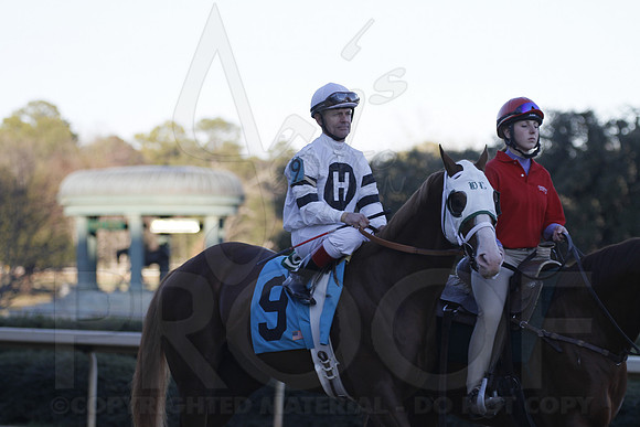 Oaklawn 1-21-13 (Smarty Jones Stakes) (Justin Manning)0285