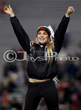 Pea Ridge vs. Warren (4A State Championship) 12-9-16_JWM_00002