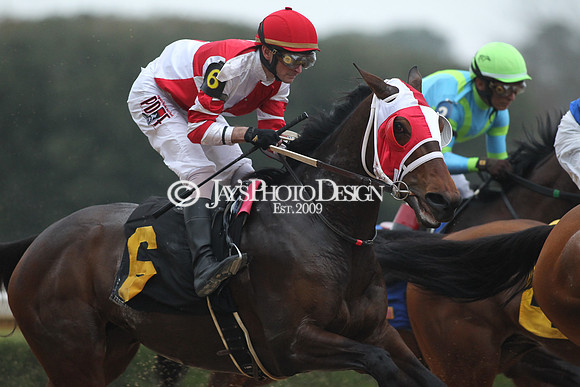 z200217_SouthwestStakesDay_Manning_0504