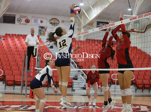 Wynne @ Harmony Grove 10-8-24_JWM_0257