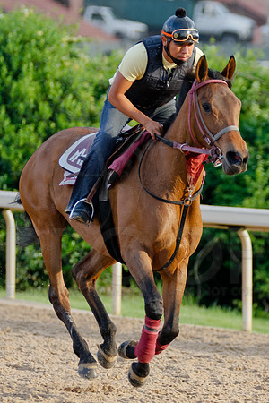 Morning Workouts (Arkansas Derby)12