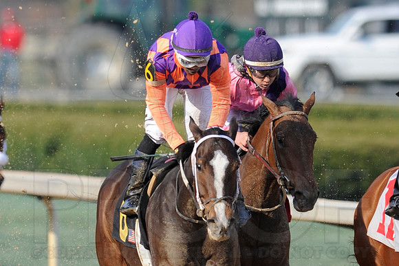 Honeybee Stakes (Grade III) 3-8-2014 (© Justin Manning) JWM_1425