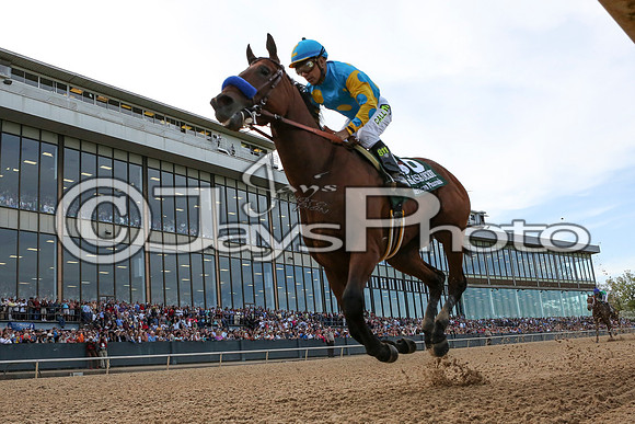 Arkansas Derby Day 4-11-2015 (©Justin Manning) JWM_2199-2
