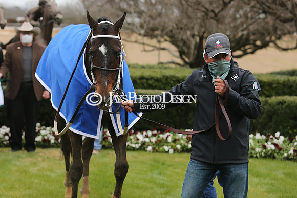z210123_Fifth Season Stakes_Manning_0131