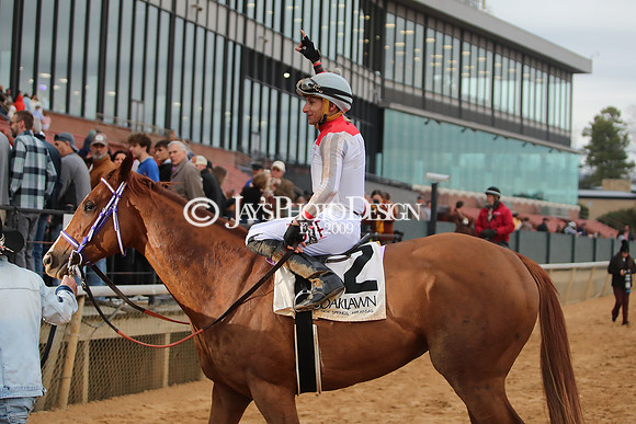 z250104_MockingbirdStakes _JWM_0674