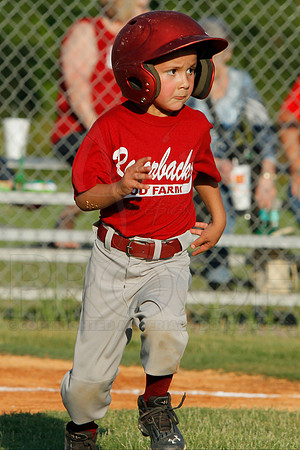Phillies vs. Razorbacks 5-6 year old baseball 6-3-2014 (© Justin Manning) JWM_0197