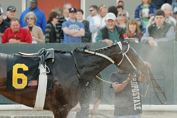 Honeybee Stakes (Grade III) 3-8-2014 (© Justin Manning) JWM_0359