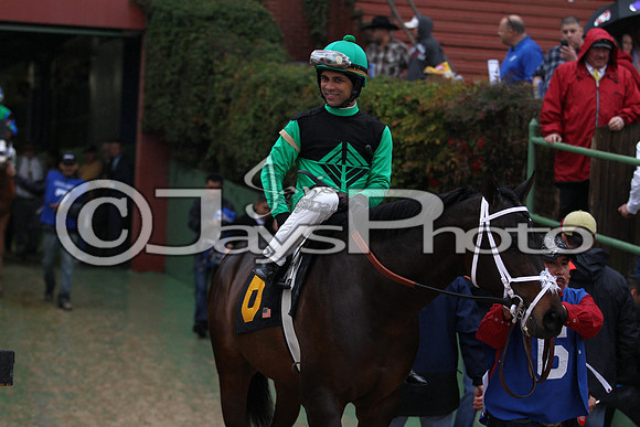 Oaklawn (Rebel Stakes Day) 3-14-2015 (©Justin Manning) JWM_204