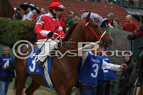Oaklawn (Rebel Stakes Day) 3-14-2015 (©Justin Manning) JWM_171