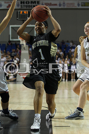 Pulaski Academy vs. Hot Springs 5A Girls State Finals 3-14-2015 (©Justin Manning) JWM_596