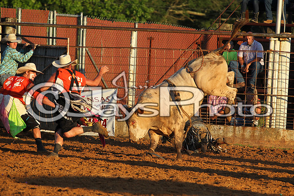 Bull Bash (Brickfest) 6-27-2015 (©Justin Manning) JWM_0332