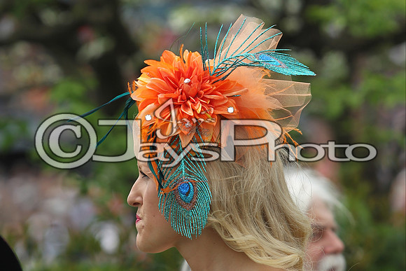 Arkansas Derby Day 4-11-2015 (©Justin Manning) JWM_0047
