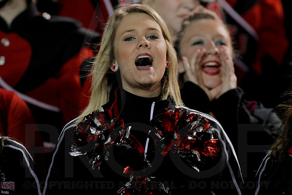 GoDaddy Bowl 1-5-14 (©Justin Manning) JWM_0442
