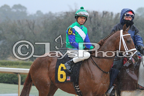 50th Running Southwest Stakes (Grade III) 2-22-2015 (©Justin Manning) JWM_085