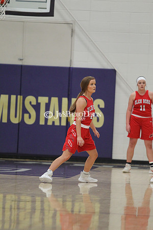 Glen Rose @ Central Arkansas Christian 1-3-20_0167